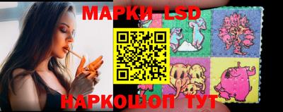 крисы Малгобек