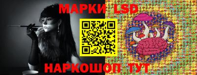 крисы Малгобек