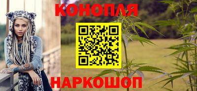 крисы Малгобек
