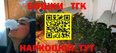 крисы Малгобек