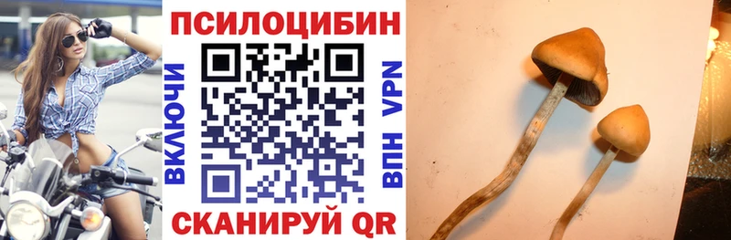 Псилоцибиновые грибы мухоморы  Новокузнецк 