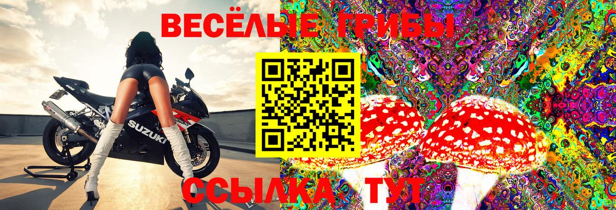 Псилоцибиновые грибы ЛСД Новокузнецк